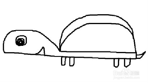 如何教儿童画数字创意画：[3]3变小乌龟的画法