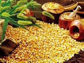 身体湿气重请多吃它