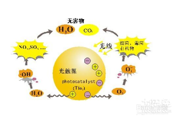 甲醛危害该如何避免或去除？