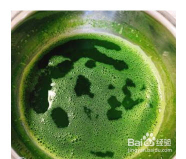 怎么做菠菜汁薄饼