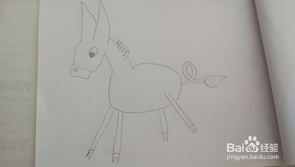 多妈简笔画动物一只小毛驴