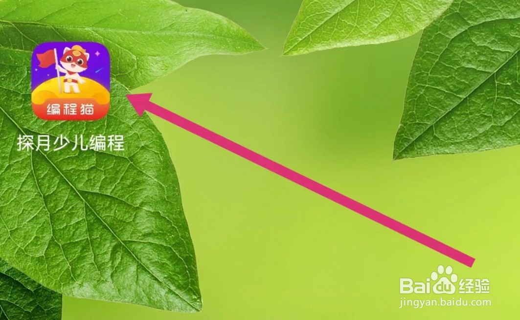 探月少儿编程APP如何进入喵币商城？