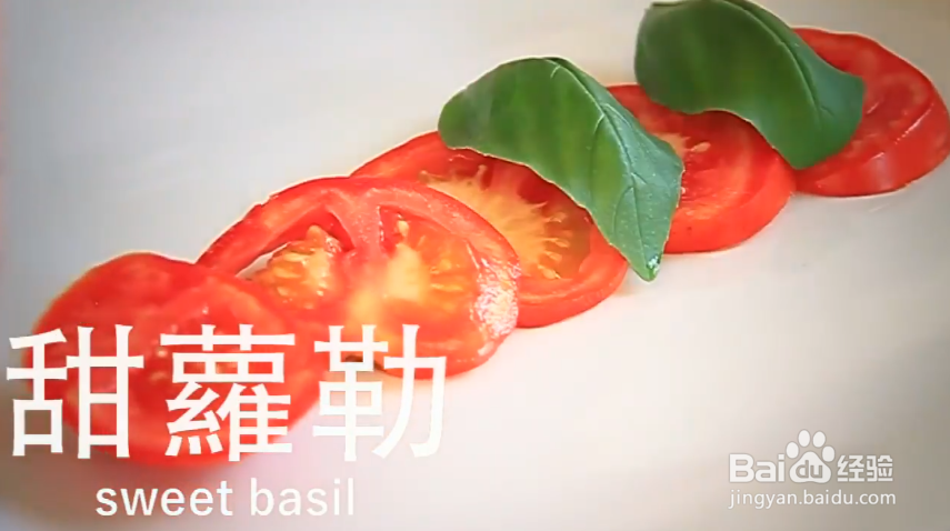 薄荷白酱智利三文鱼