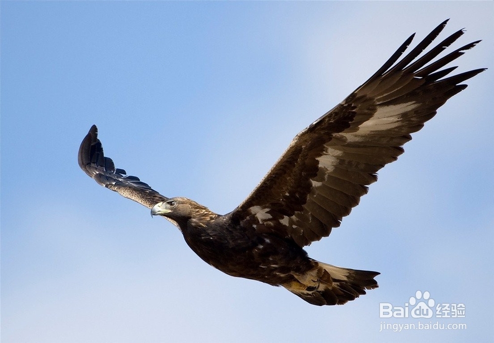 简单的几句话改变一生