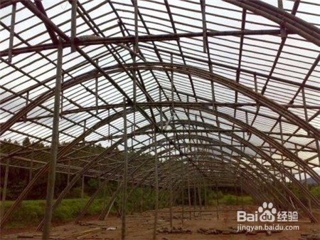 文山三七,这些问题不知道的点击查看