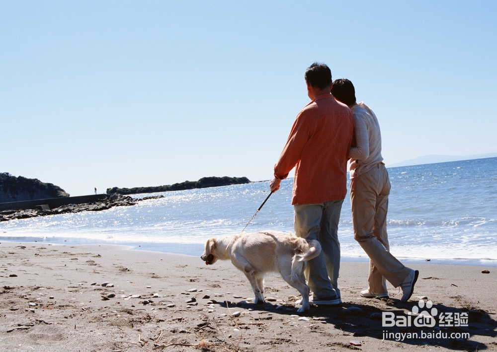 饭后散步应该注意什么