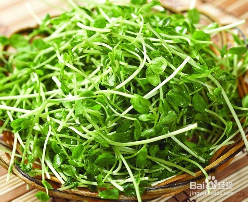 10种常见的瘦脸食物大盘点