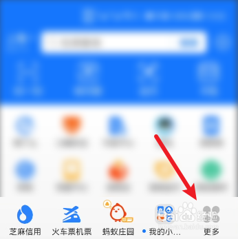 支付宝如何查看账户的消费券