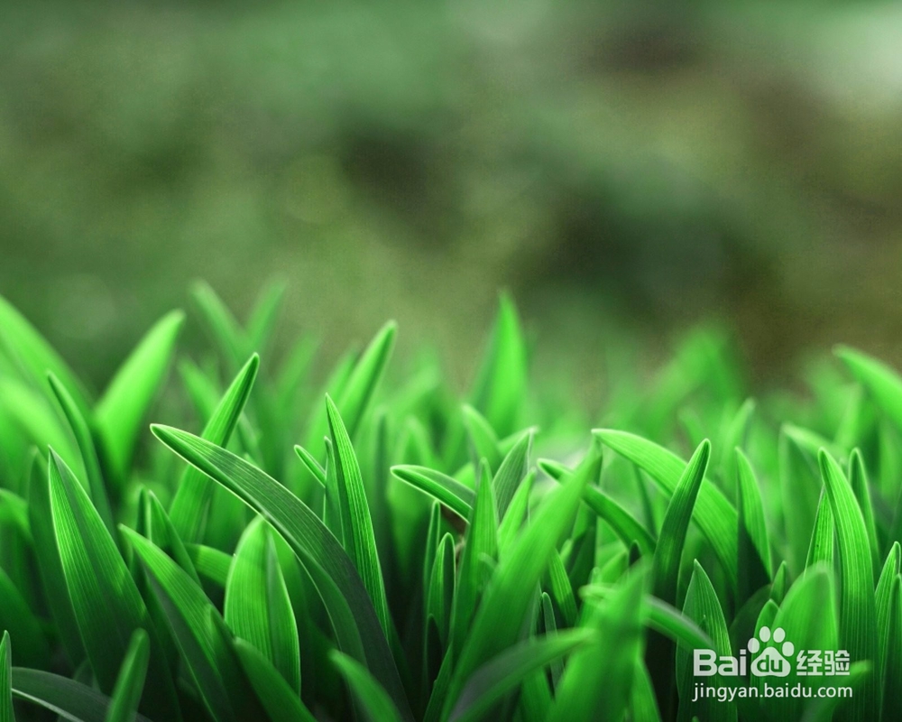 怎样让你的睫毛变的更长?