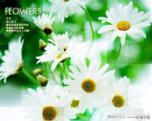 Photoshop制作野花照片添加马赛克效果