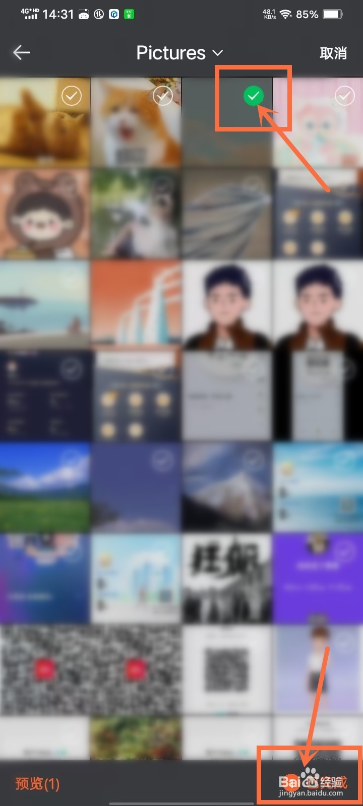 猫爪app头像怎么换