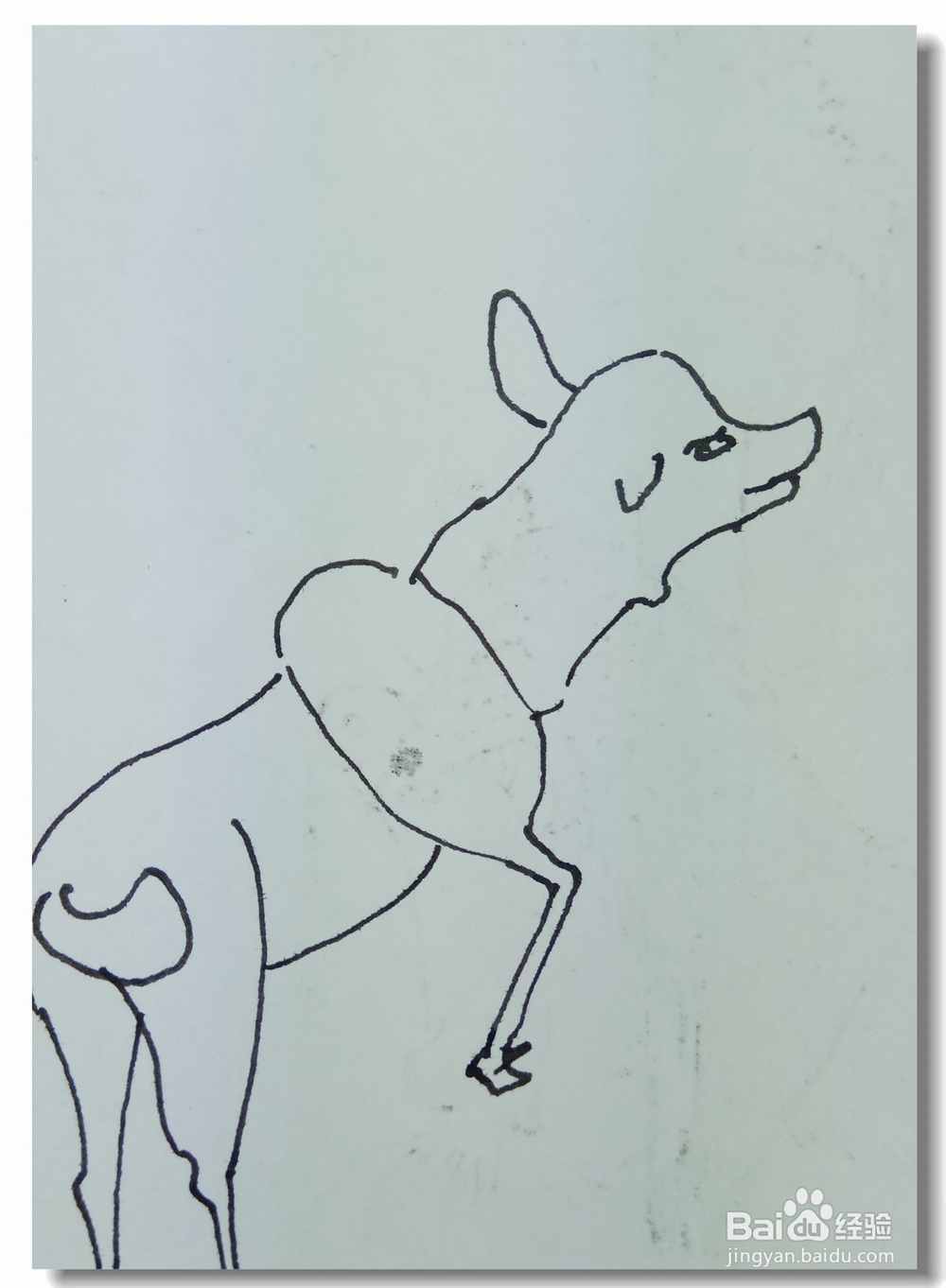 怎样画钢笔画“寻鹿”？