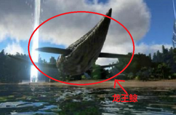 方舟生存进化龙王鲸怎么驯服 龙王鲸吃什么饲料