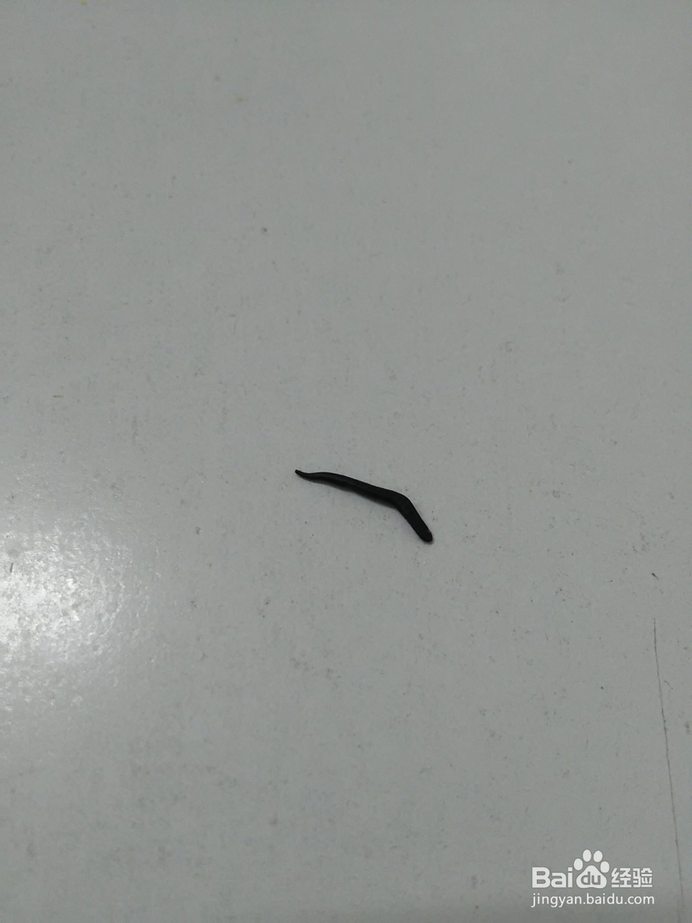 用面怎么捏狗狗汪汪队毛毛