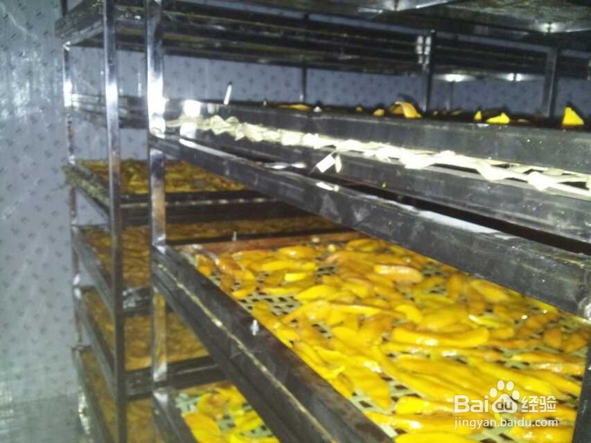芒果烘干机芒果片烘干机使用技巧
