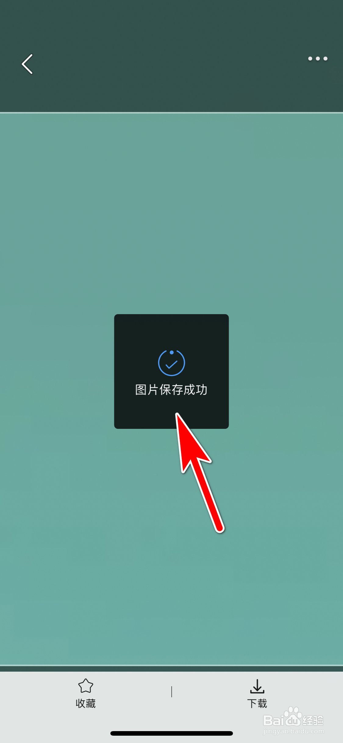 口袋壁纸怎么下载我的图集照片