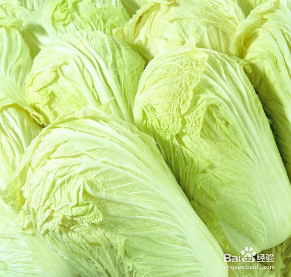 秋冬换季易感冒多吃这些食物让你远离感冒。