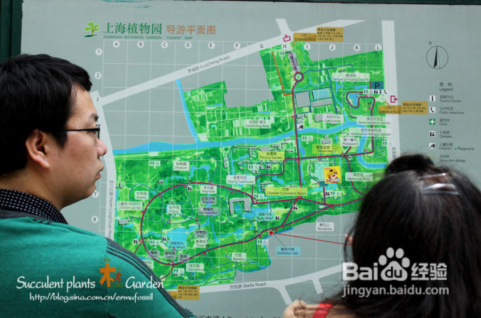 上海植物园（上）