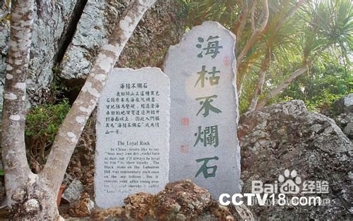 春节旅游首选阳光治愈系海南三亚
