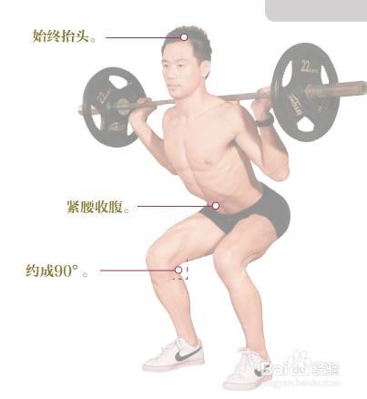 怎么锻炼腿部肌肉（3）