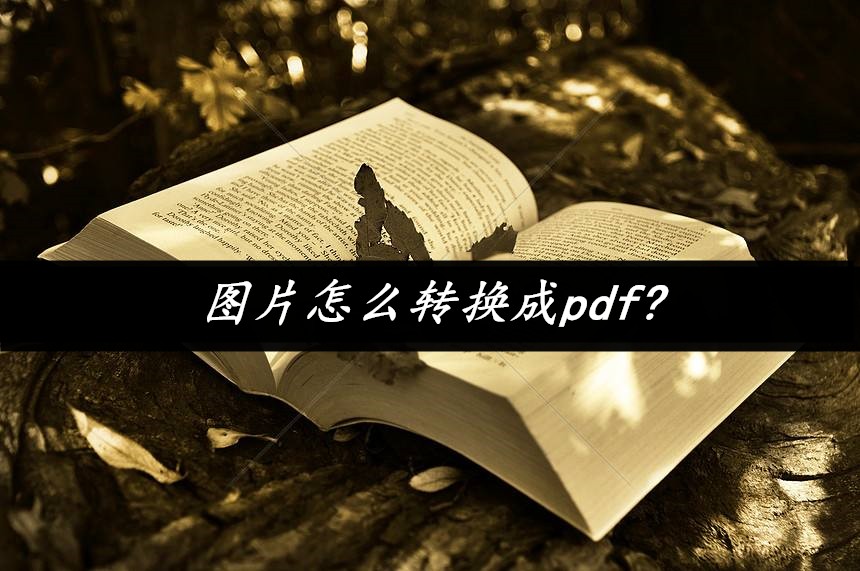 图片怎么转换成pdf?这两个方法你一定要知道