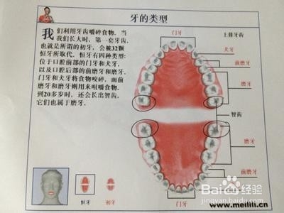 牙齿健康的一些注意事项