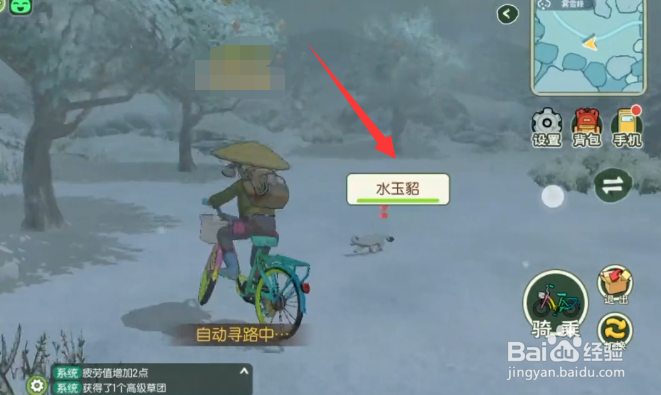 小森生活水玉貂怎么捕捉