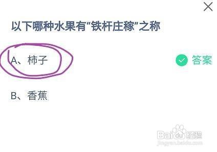 蚂蚁庄园以下哪种水果有“铁杆庄稼”之称？