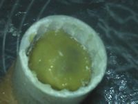 奶油蓝莓月饼