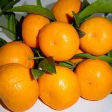 这些水果不单美容还护发