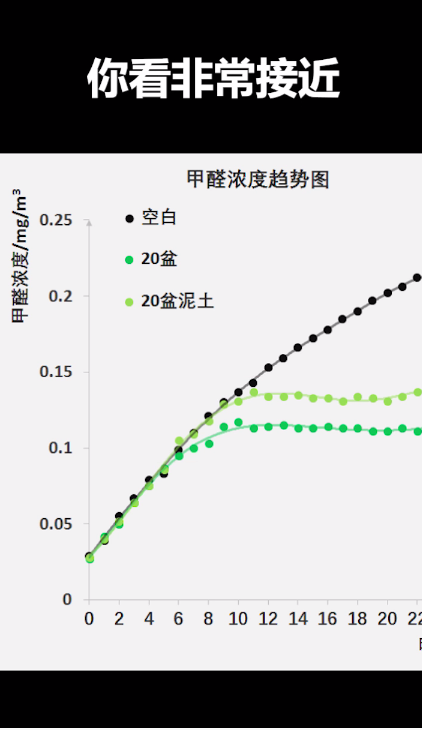 绿萝是否能除甲醛?