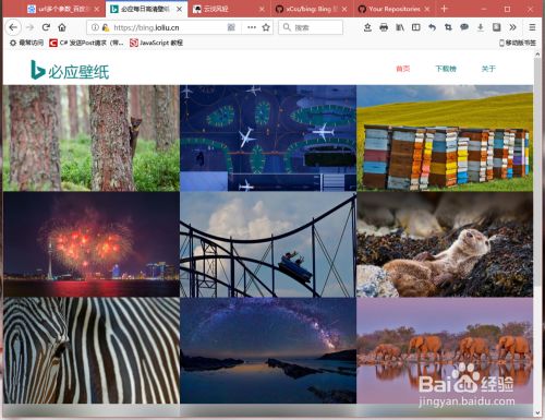 如何使用bing壁纸api 简介 百度经验