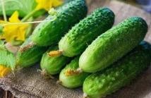 生吃黄瓜和黄瓜汁的区别