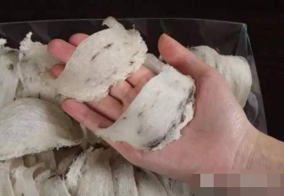 燕窝的价格多少钱一克合理