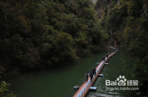 三峡四日单程阳光游