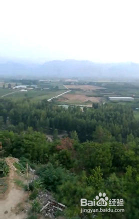 现在三七价格多少钱一斤