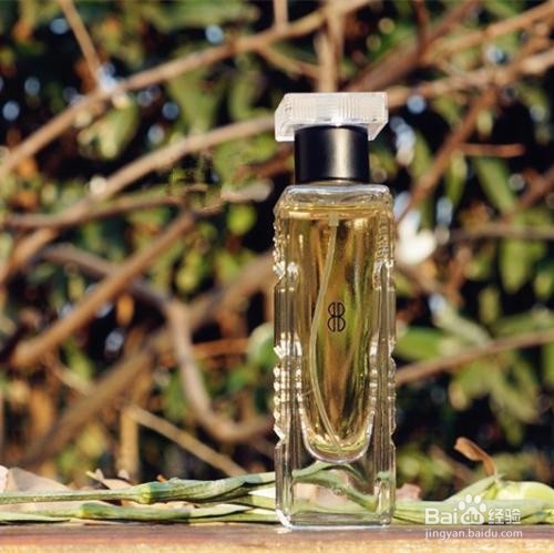 茶叶的十种用法