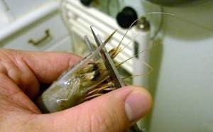 教你怎么做油焖大虾