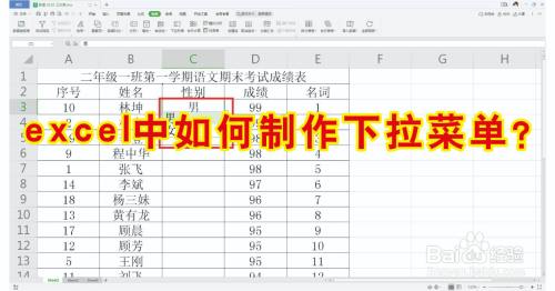 excel中如何制作下拉菜单