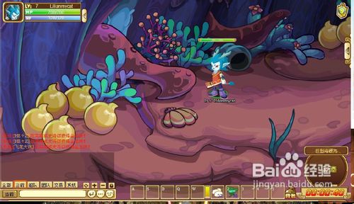 功夫派壳中赤鳍任务怎么过？