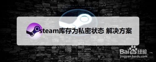 Steam库存为私密状态解决方案 百度经验