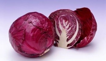 美白牙齿技巧小技巧