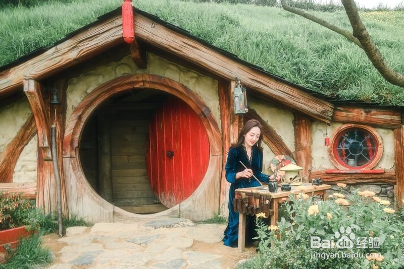 新西兰漫游简记4