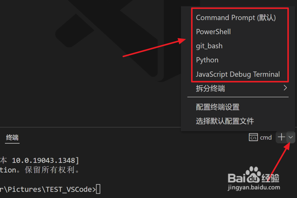 如何在VScode中设置终端类型