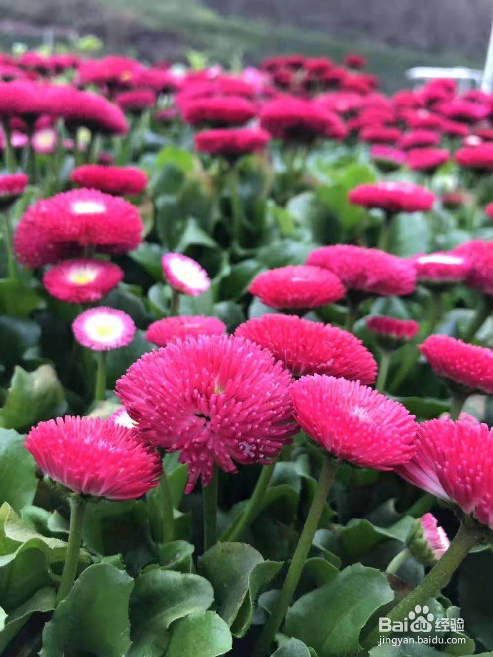 说出这三句话，情侣之间将永远不可能再复合？