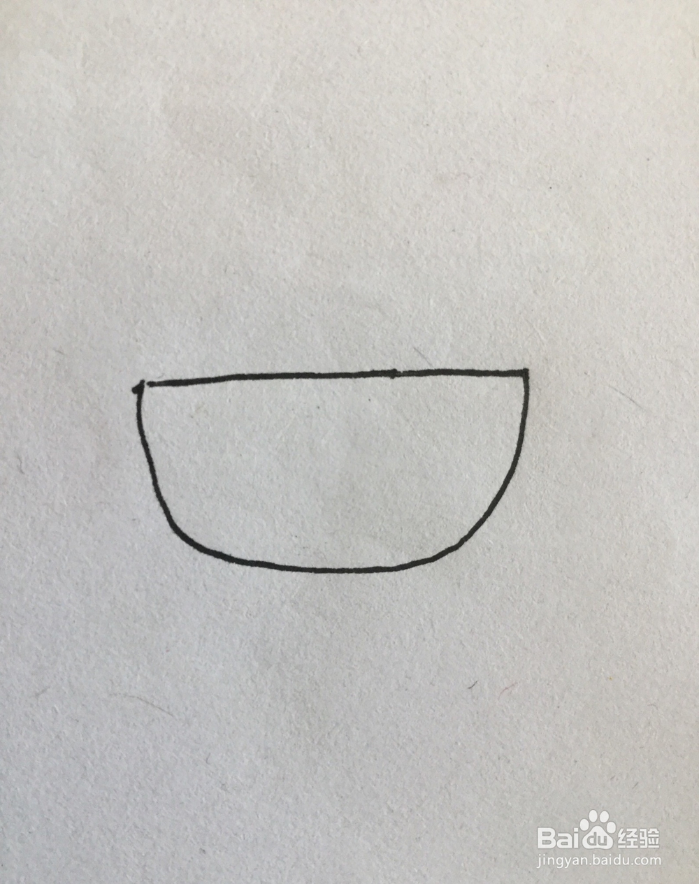 多肉植物简笔画4