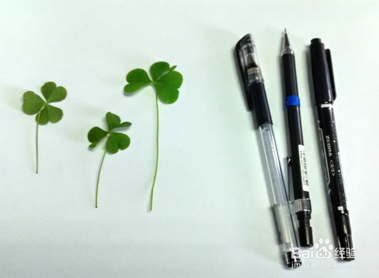 叶子创意画---趣味手工制作