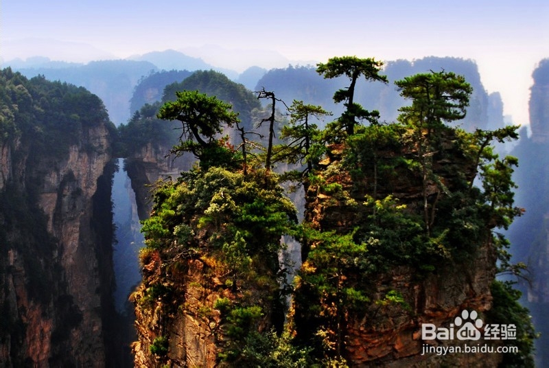 张家界自助游旅游俱乐部