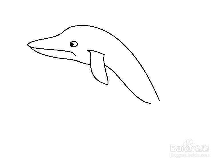 简笔画海豚的画法