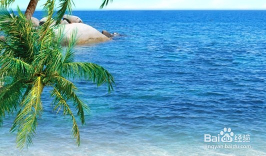 在海边游泳要注意什么？